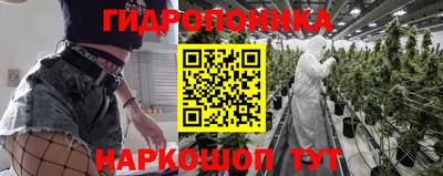 СК Новозыбков